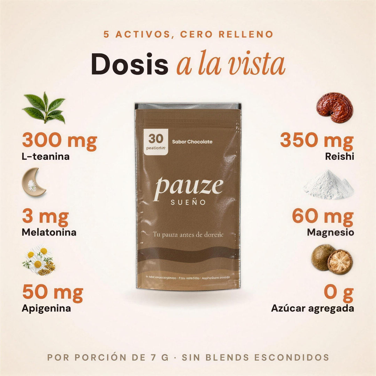 Pauze - Chocolatada para Dormir